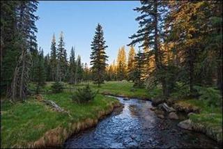 Quality Lakeside Estalagem Pinetop-Lakeside